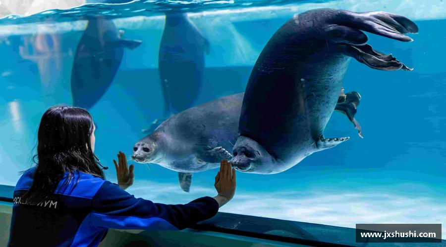 3377体育官网激情释放，挑战体育